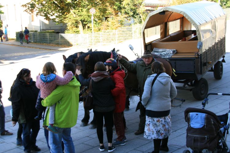 Alles bereit zur Kutschenfahrt